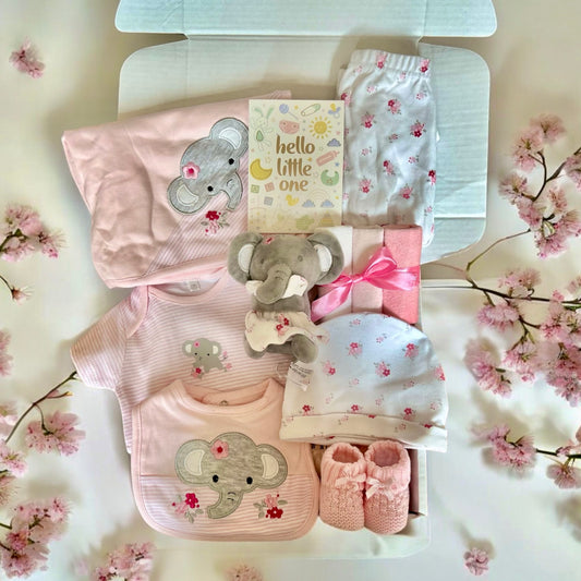 Pink Elephant New Baby Gift Hamper